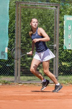 Victoria Brand 245 - Klippeldon